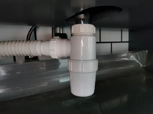 馬桶反味怎么辦 找出原因?qū)ΠY下藥 也許倒點水就好了